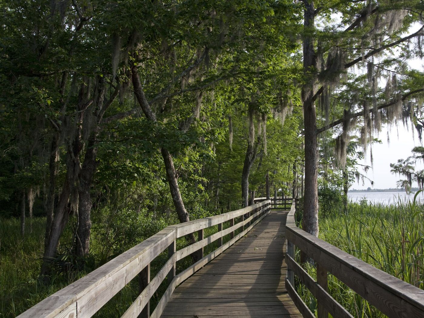 Wooden boardwalk through the trees at Historic Blakeley State Park in Spanish Fort, Alabama